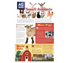 Small Animals Ag Mag